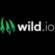 Wild.io Casino Review